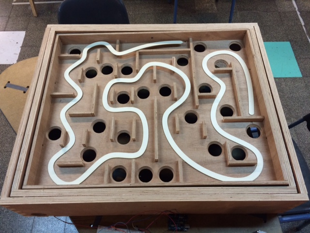 final project proposal